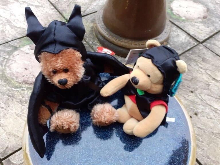 New Disney Bat Pooh and New Ty Bat Bear Beanie Babies.