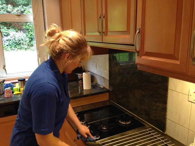 Domestic cleaners, office cleaners, cleaning services London