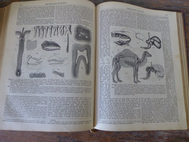 THE POPULAR EDUCATOR: A Complete Encyclopaedia. Three volumes: One, Two and Three.