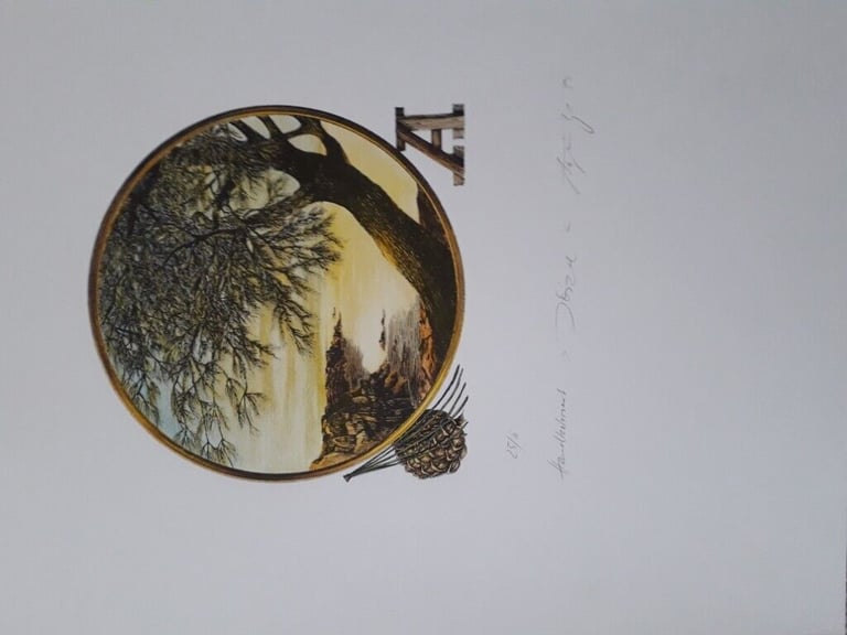 Vintage hand coloured prints x5