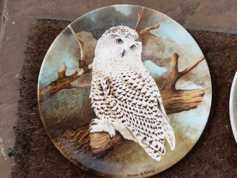 Coalport The Wise Owl Ltd Edition Collectors Plates X 4