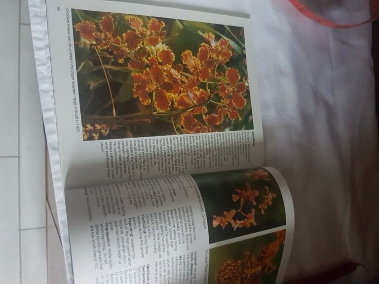 Orchids book  plant food 