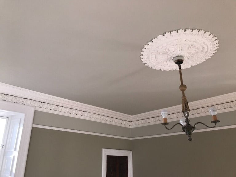 image for steven foley painter and decorator(please read full add before contacting)
