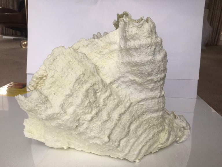 pottery barn large REALISTIC CORAL STATUE GARDEN ORNAMENT CORAL new IN BOX IDEAL GIFT