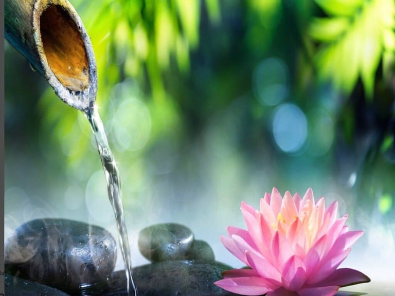 image for Thai massage in Exeter ,EX4