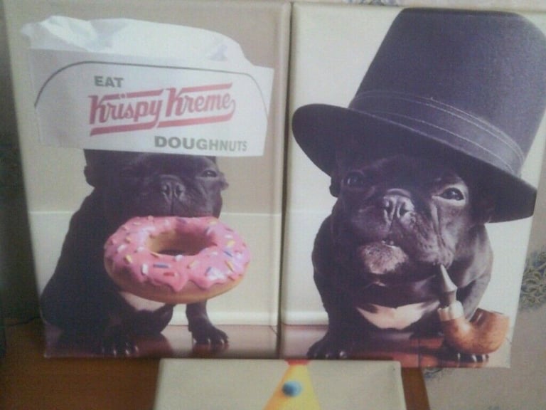 3 CANVAS PRINTS OF DOGS    BUYER COLLECTS   