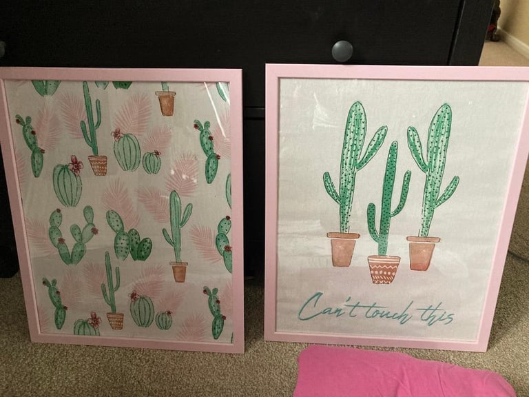 Cactus prints & 2 x single duvet covers & sheets 