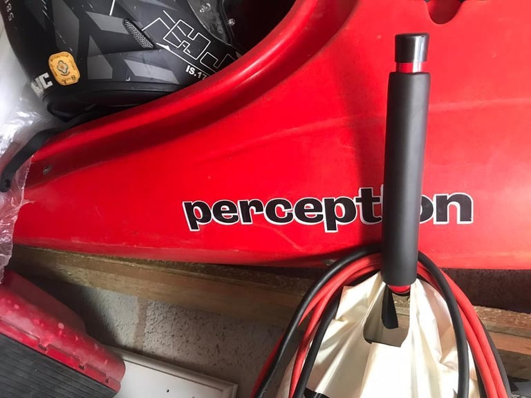 Perception kayaks for sale