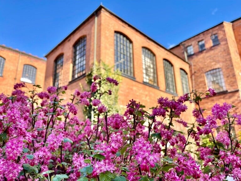 Ideal shared Aesthetics studio Spaces in Birmingham