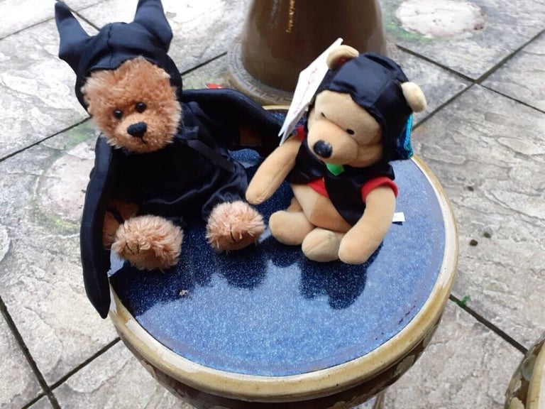 New Disney Bat Pooh and New Ty Bat Bear Beanie Babies.