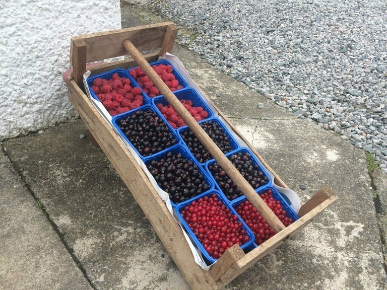 Wooden potato seed boxes.