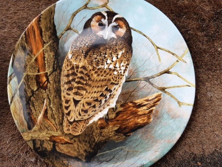Coalport The Wise Owl Ltd Edition Collectors Plates X 4