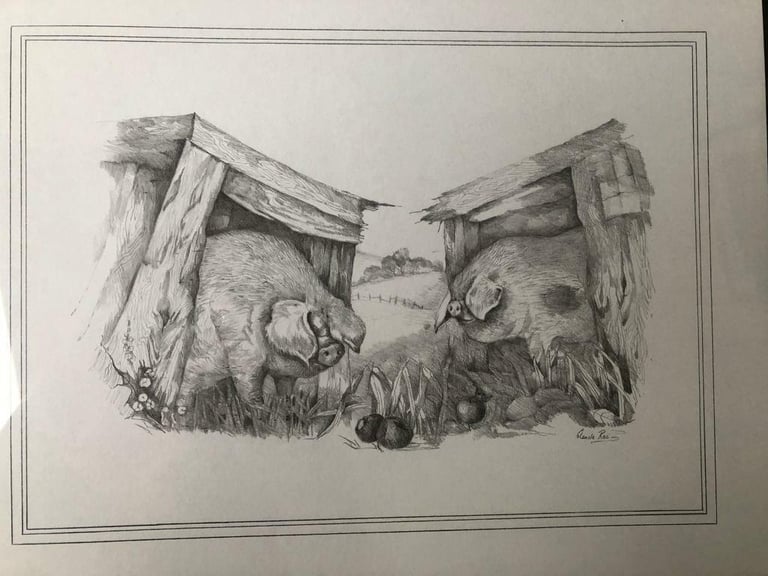 Glenda Rae signed black and white Pigs print in walnut coloured frame. Collect Chichester