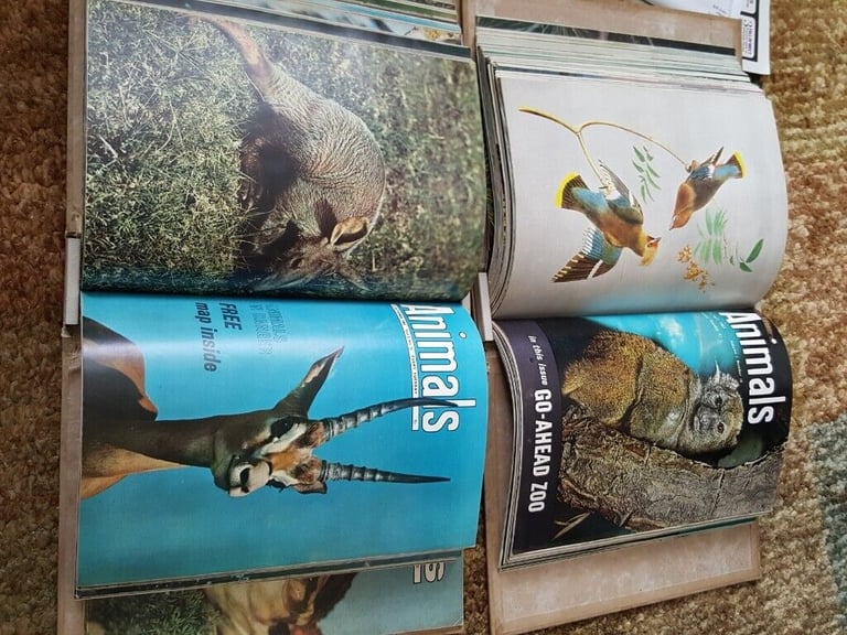 2 Animal Folders full of 1 year subscription