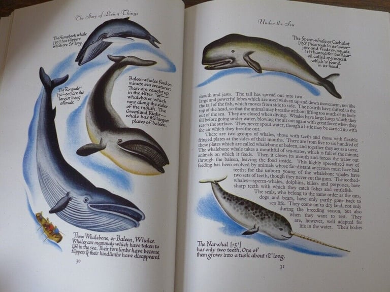 THE STORY OF LIVING THINGS AND THEIR EVOLUTION and NATURE’S TEACHINGS. The two for £25.