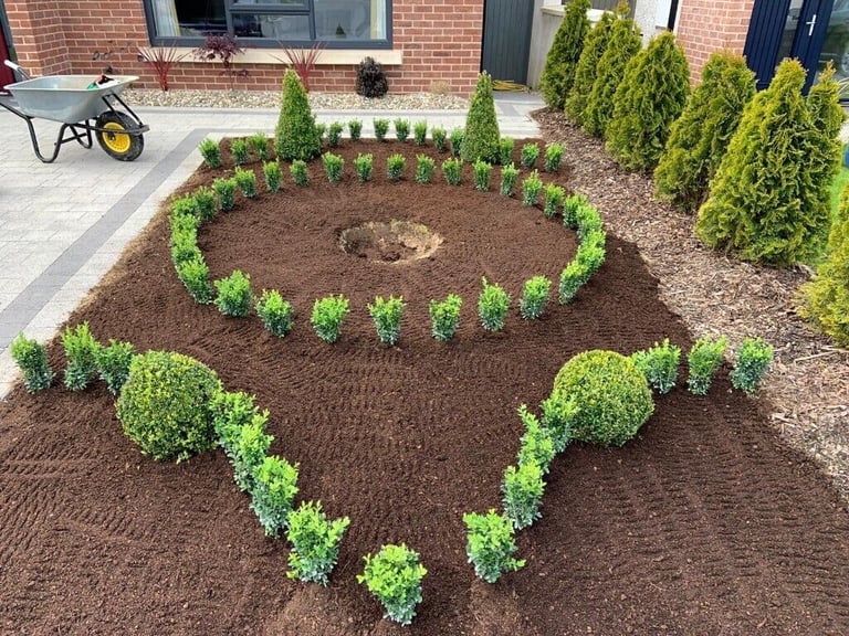 Box Hedging