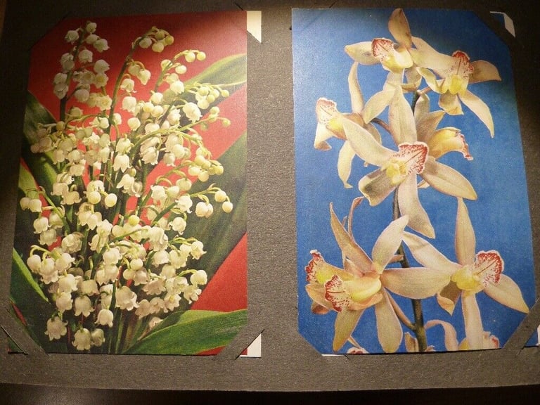 Vintage Postcard Album containing Flower Postcards (unused) J Arthur Dixon, Thor E Gyger