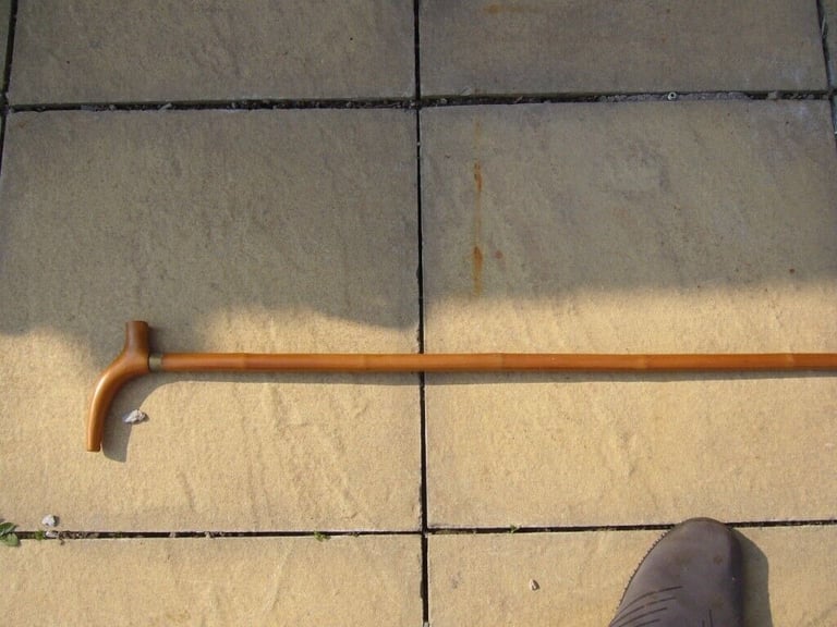 Walking cane
