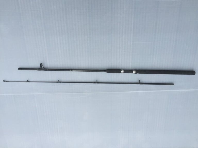 image for  spinning rod