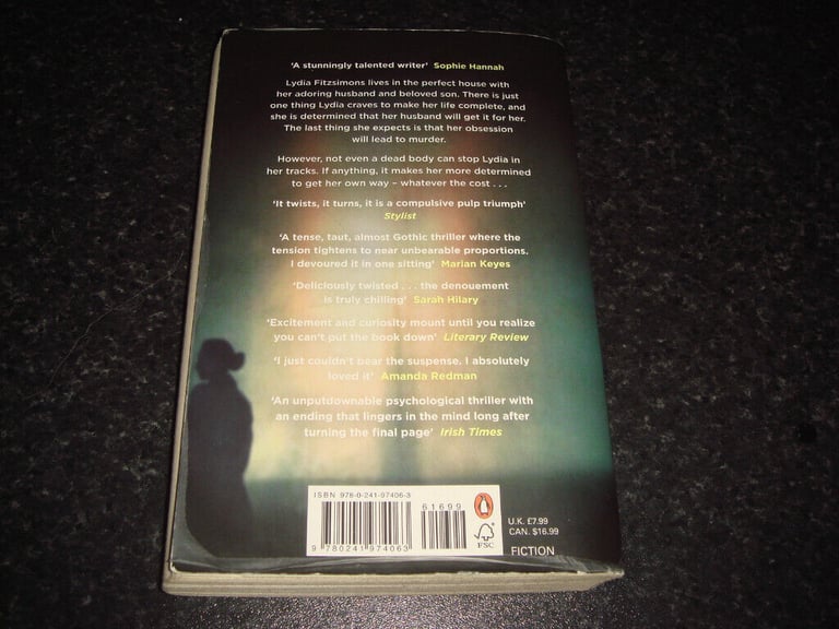 Liz Nugent - LYING IN WAIT - used paperback book, post or collection