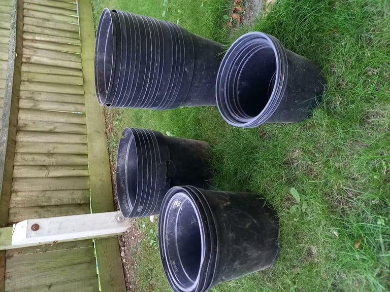 image for Chelmsford Plant pots