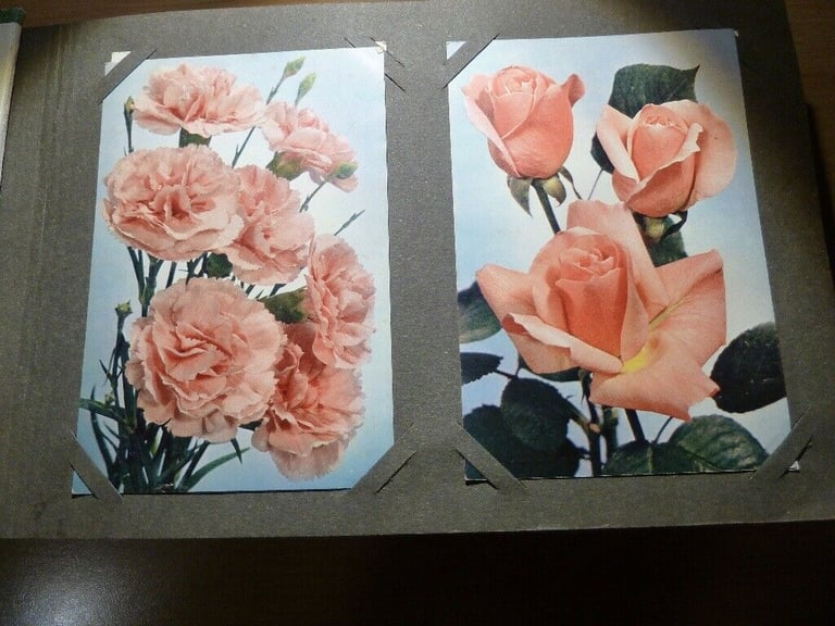 Vintage Postcard Album containing Flower Postcards (unused) J Arthur Dixon, Thor E Gyger