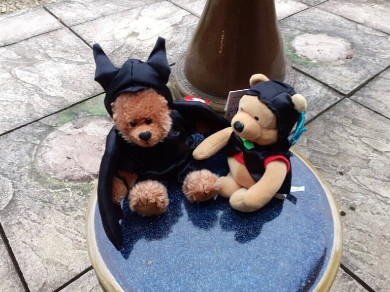 New Disney Bat Pooh and New Ty Bat Bear Beanie Babies.