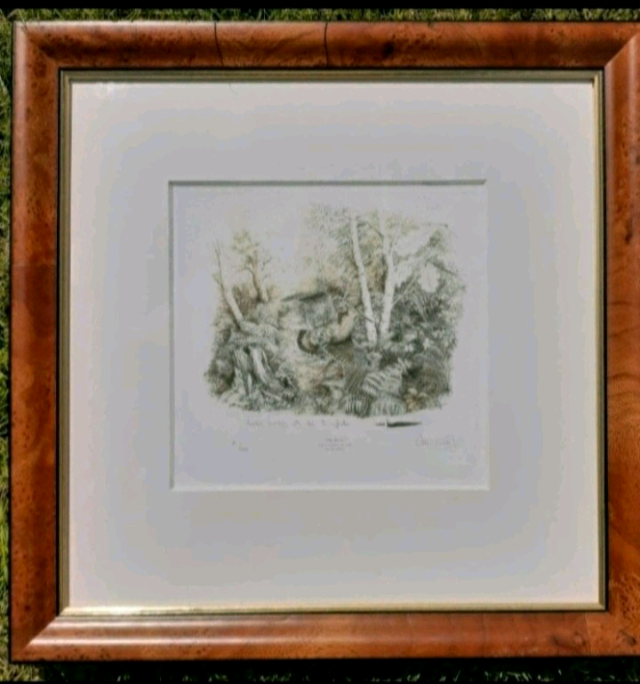 image for Woodcock print 