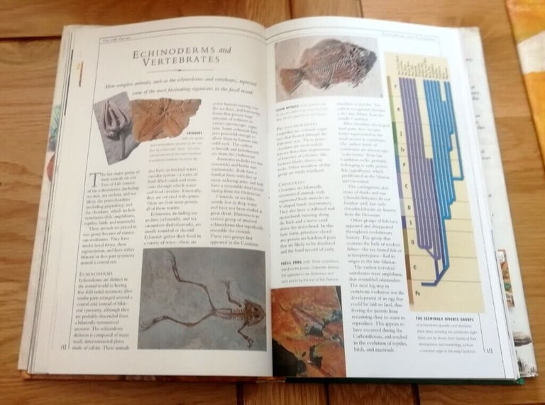 Collins Rocks & Fossils The Ultimate Guide To The Earth Hardback Book