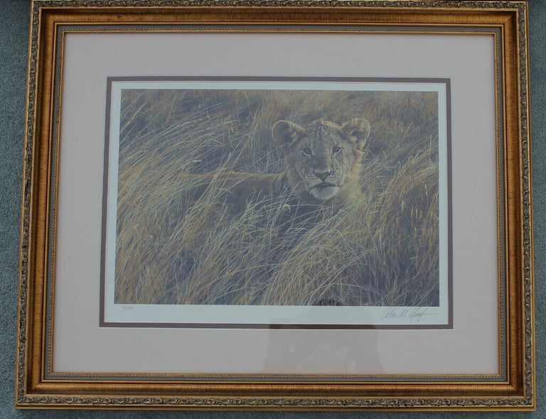 image for LIMITED EDITION FRAMED PRINT SERENGETI PRINCE BY SEEREY-LESTER