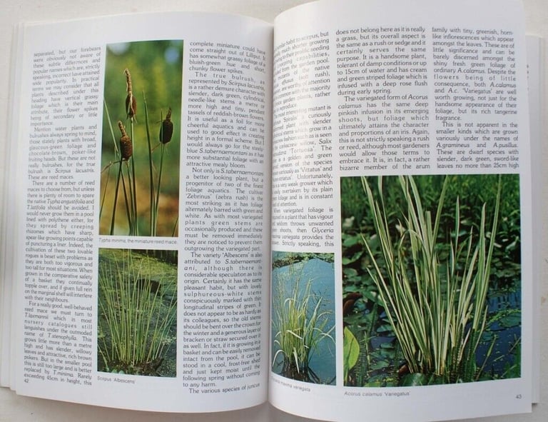 Philip Swindells: Making the Most of Water Gardening (Illus. Paperback)