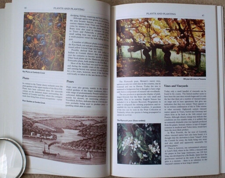 Cornwall Gardens Trust: Glorious Gardens of Cornwall (Illustrated Paperback)