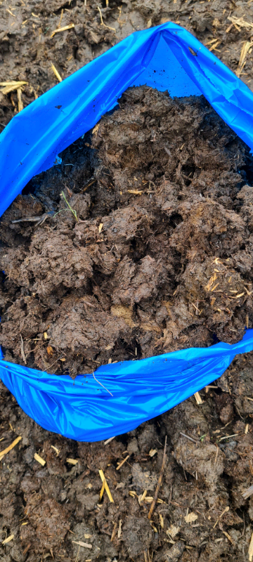 image for Well composted horse manure.