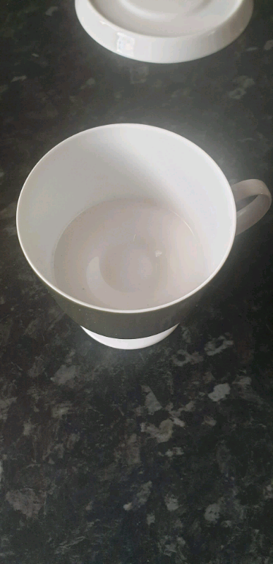 ROSENTHAL STUDIO LINE CUP AND SAUCER 