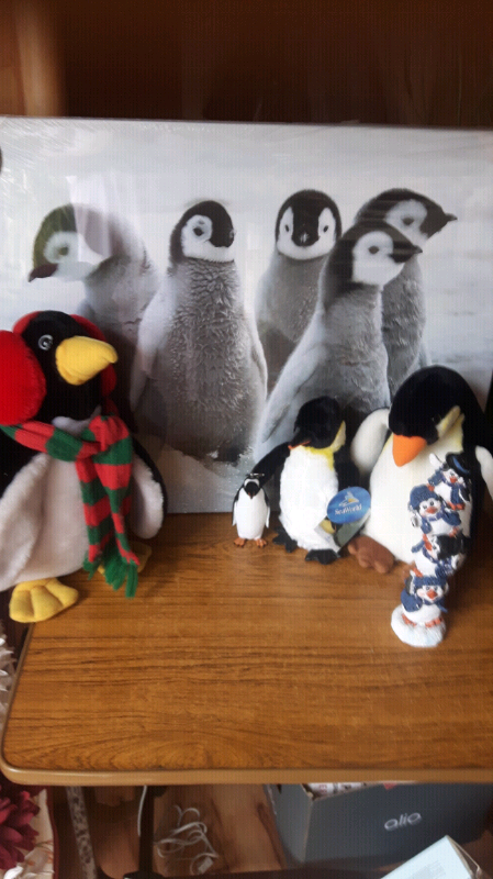 image for Penquin bundle 
