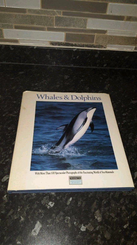 image for HARDCOVER BOOKS-WHALES AND DOLPHINS WHAT YOU WEAR CAN CHANGE YOUR LIFE