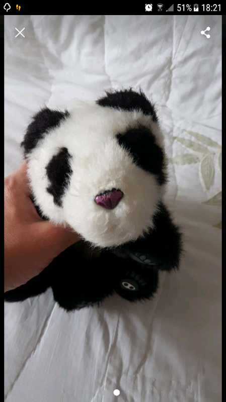image for Animagic panda