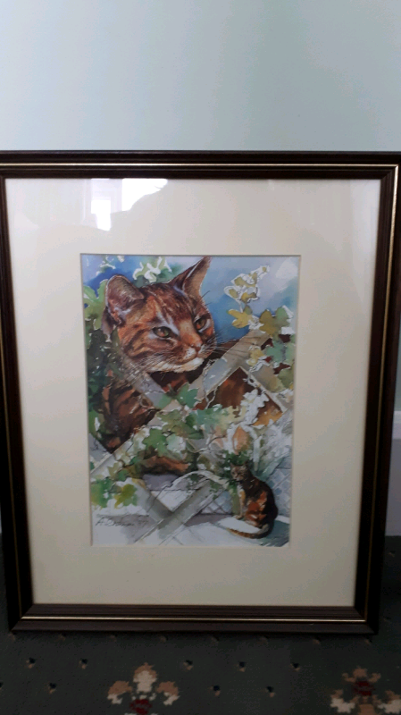 image for Cat picture