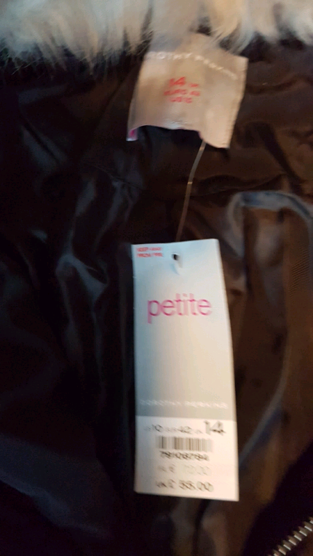 image for DOROTHY PERKINS COAT