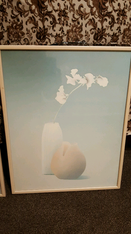 2 Glass frame Pictures in good condition 
