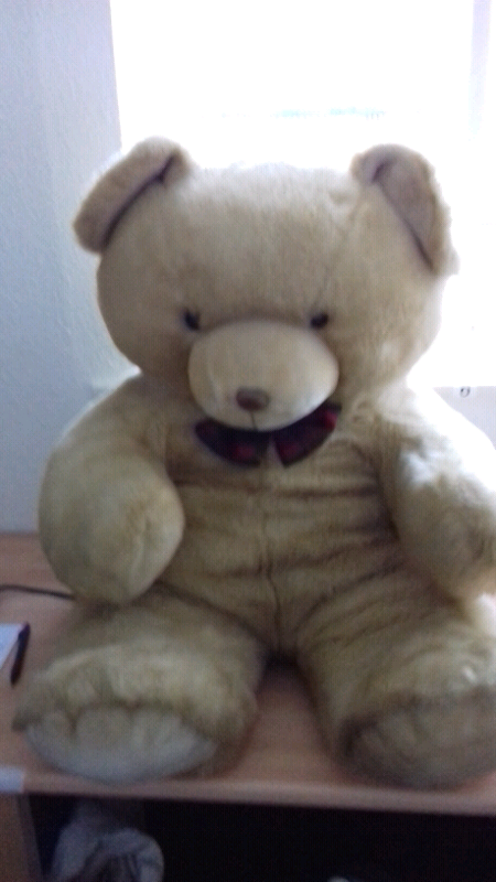 image for Very large,very soft & cute bear