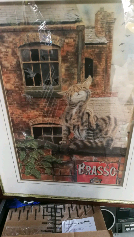Brasso picture with cat 