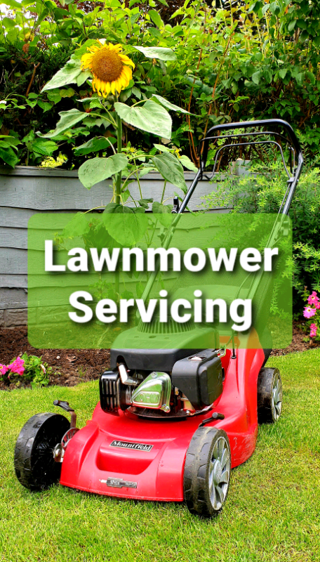 image for Petrol Lawnmower / Mower Servicing 