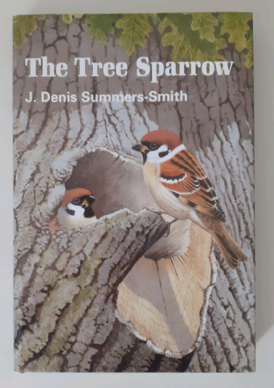 The Tree Sparrow