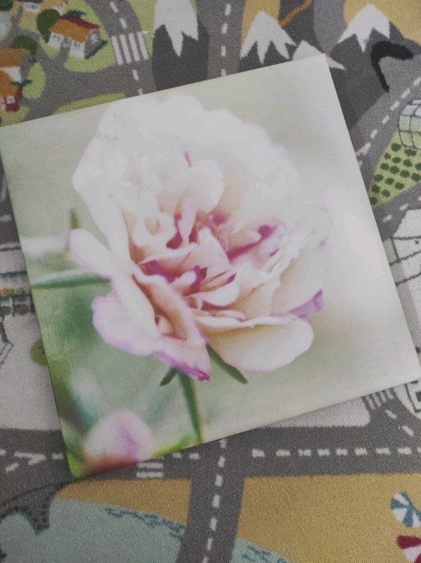 image for Canvas - flower 