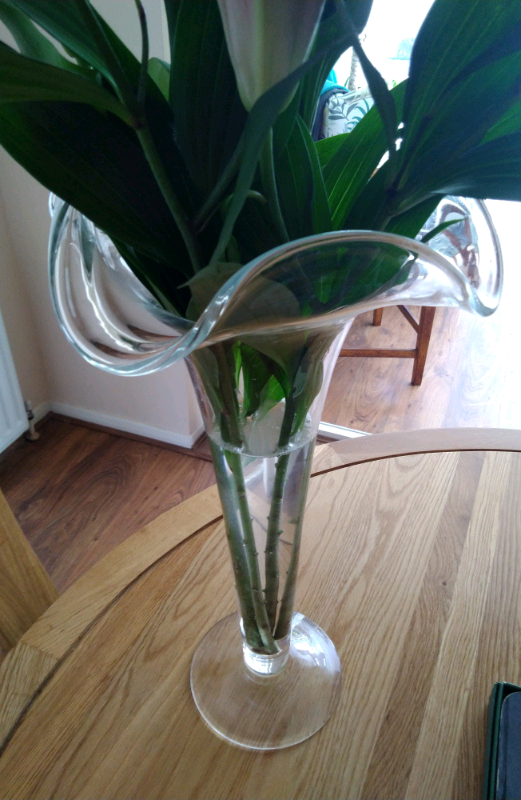 Tall Ruffled Edge glass vase 