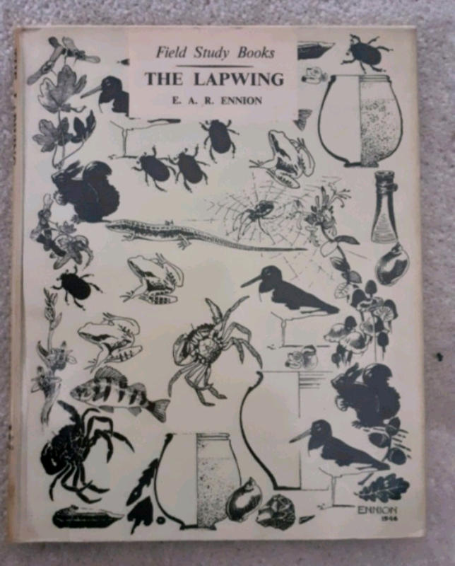 The Lapwing, book