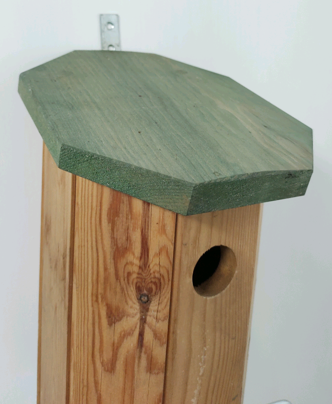 Charming Bird Boxes - £10 each (or all 3 for £25)
