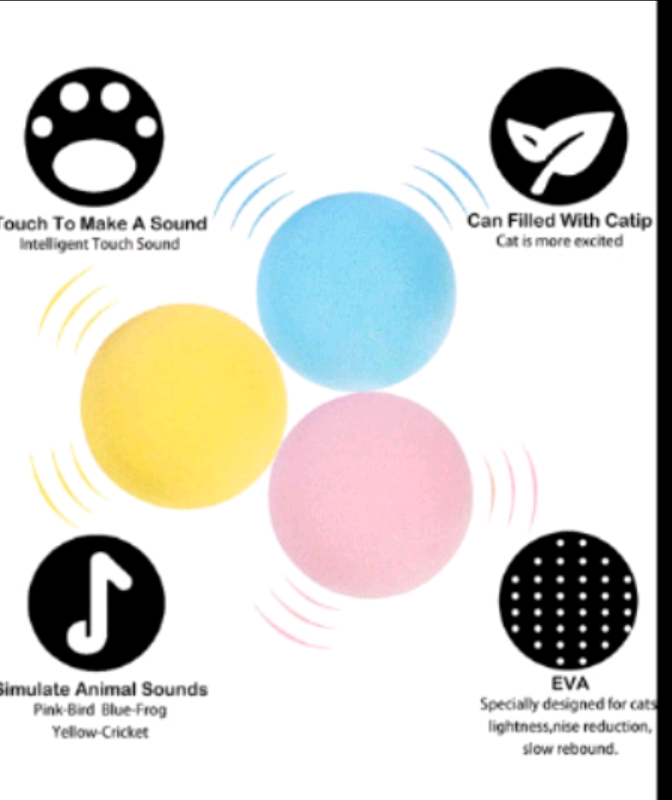 cat toys