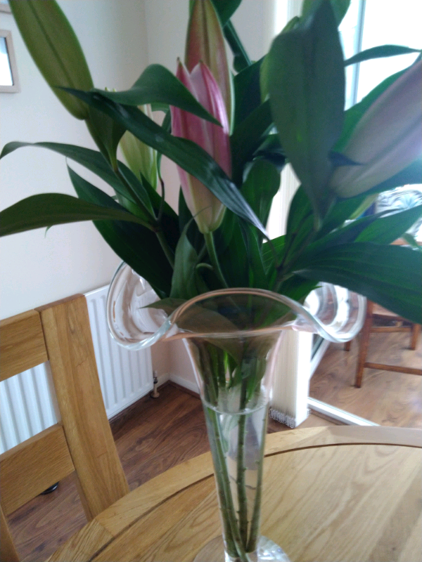 image for Tall Ruffled Edge glass vase 
